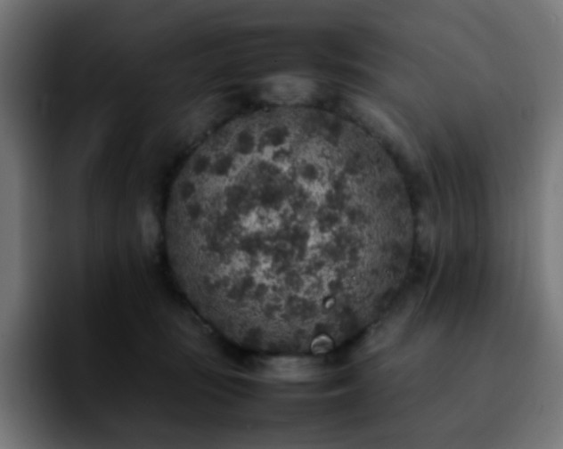 X0000092220371200709211012