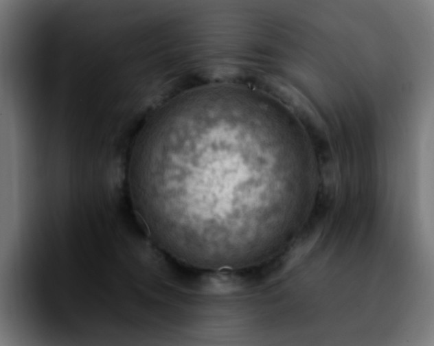 X0000092220372200709211012