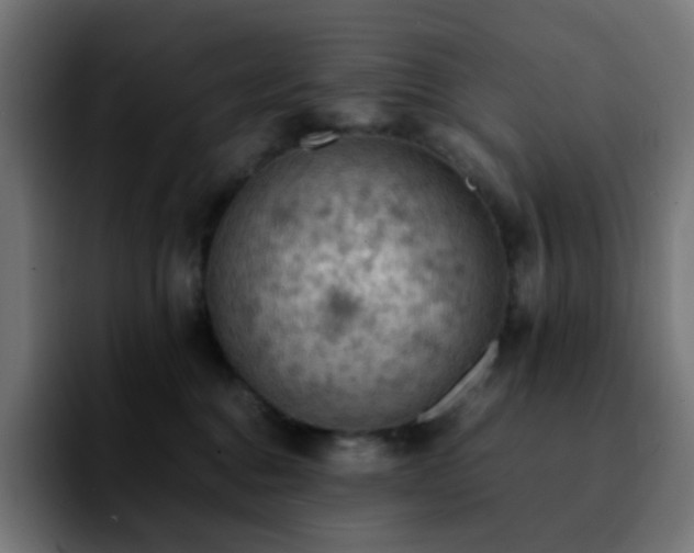 X0000092220376200709211012