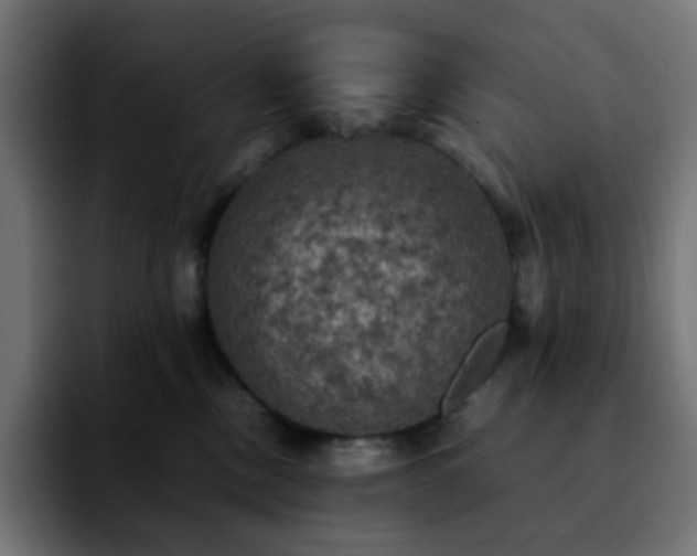 X0000092220378200709211012