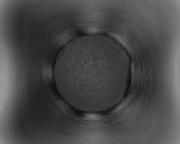 X0000092220380200709211012