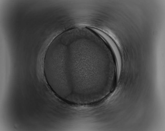 X0000092220385200709211011