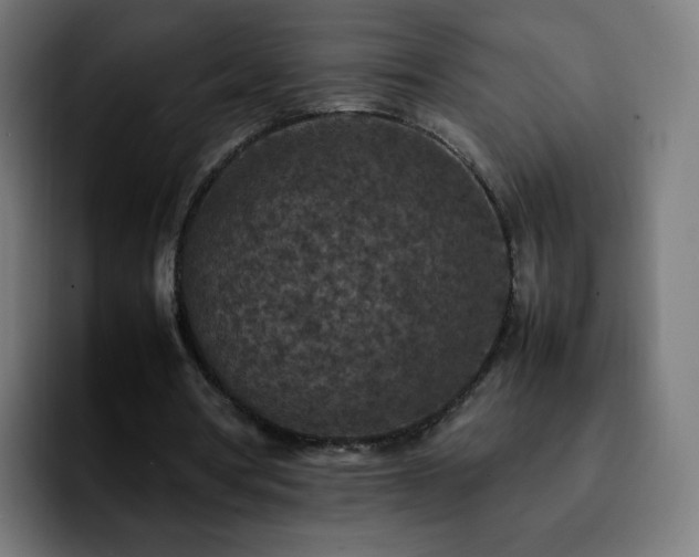 X0000092220386200709211011