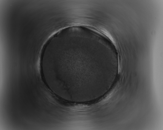 X0000092220387200709211011