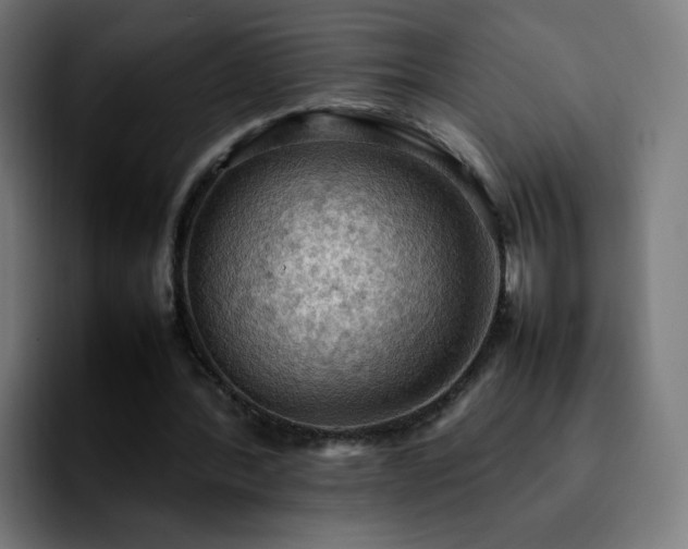 X0000092220388200709211011