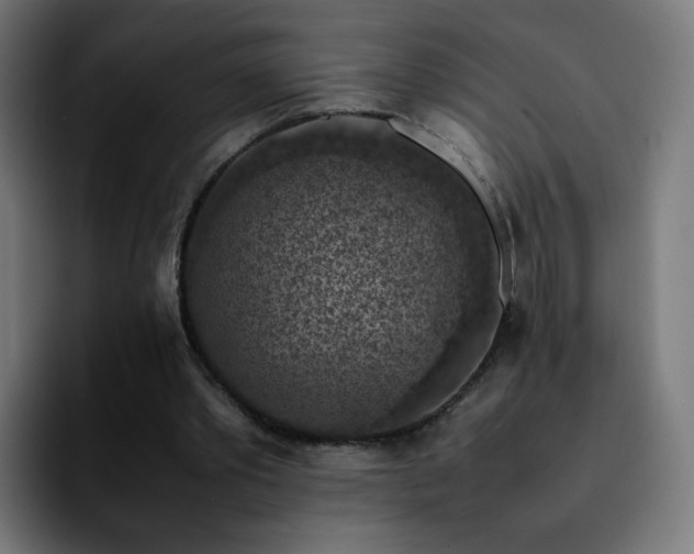 X0000092220389200709211011
