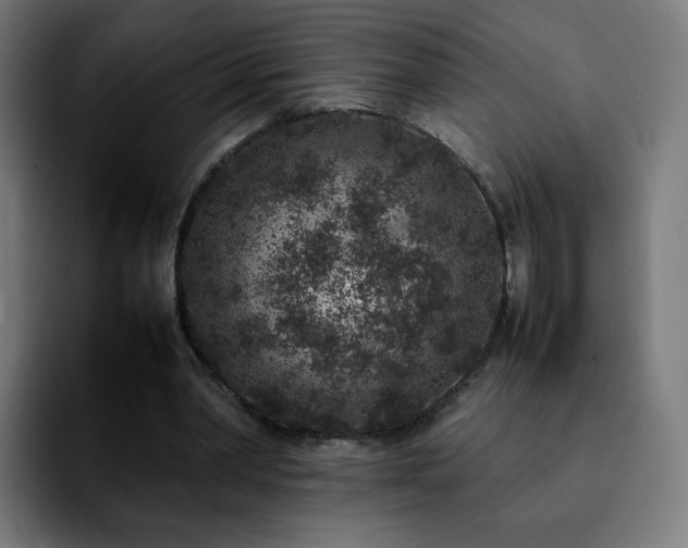 X0000092220390200709211011