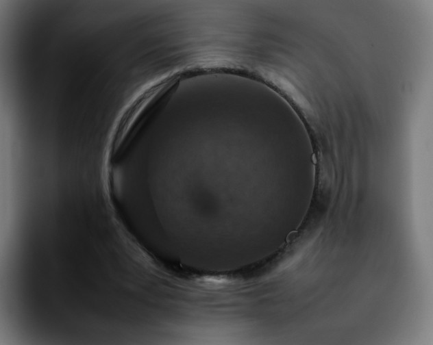 X0000092220391200709211011