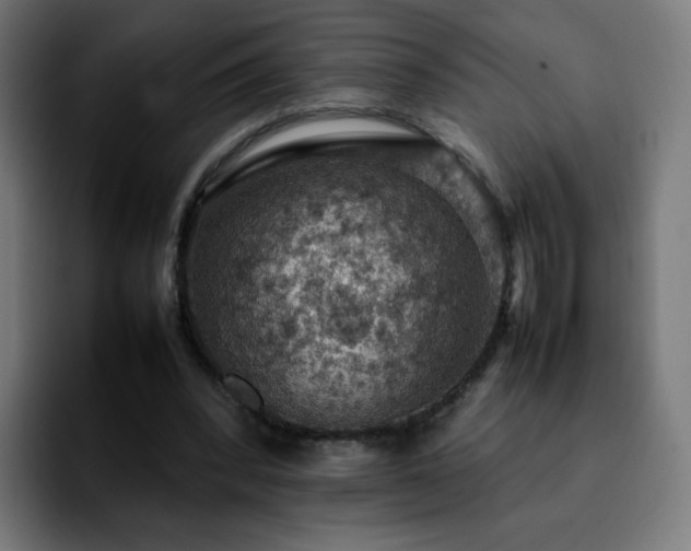 X0000092220392200709211011