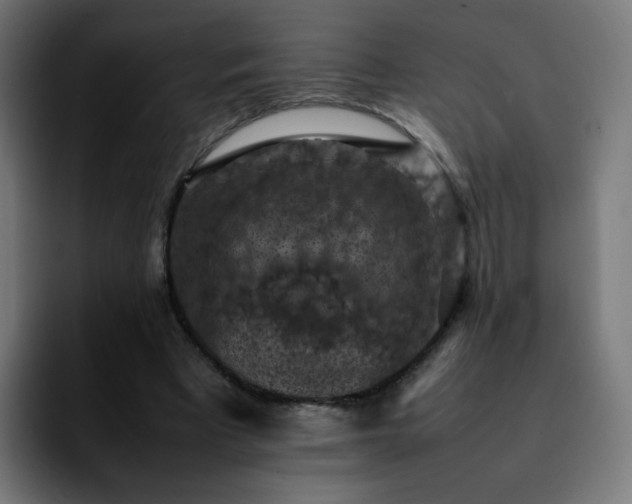 X0000092220393200709211011