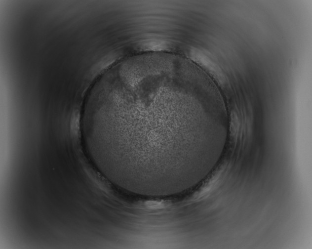 X0000092220394200709211011