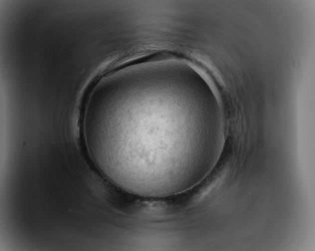 X0000092220395200709211011