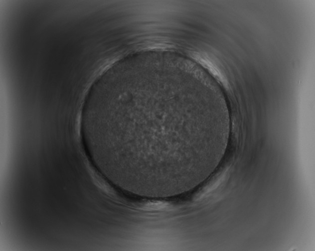X0000092220397200709211011