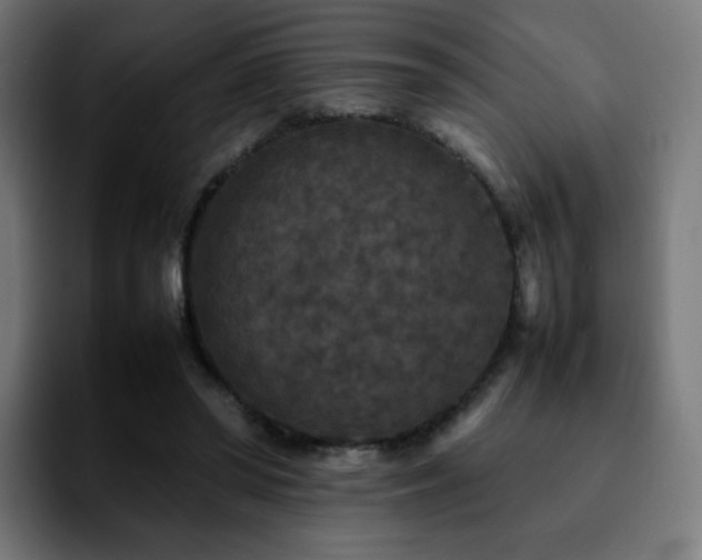 X0000092220398200709211011