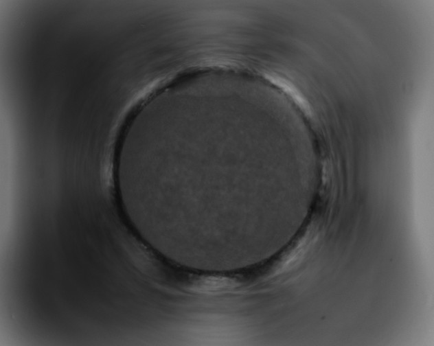 X0000092220399200709211011