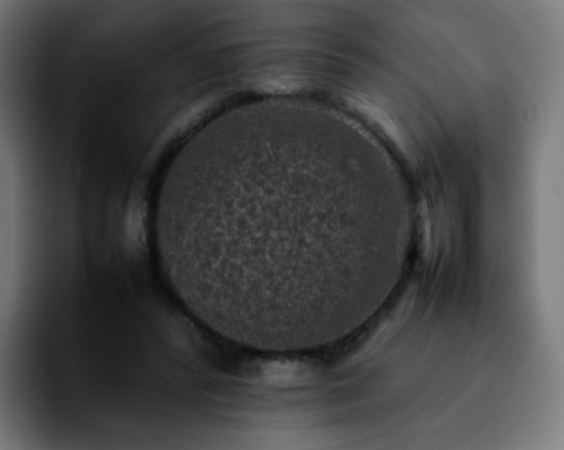 X0000092220400200709211011