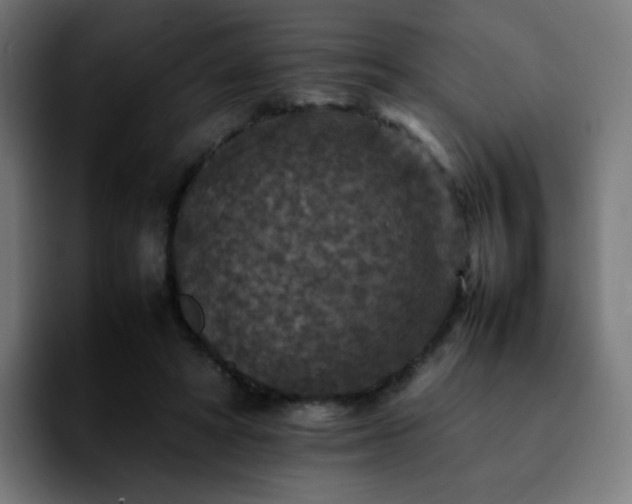 X0000092220402200709211011