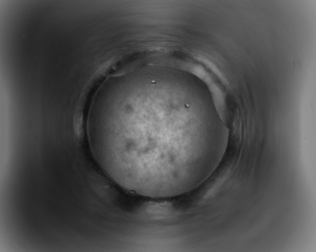 X0000092220403200709211011