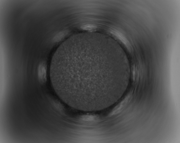 X0000092220404200709211011