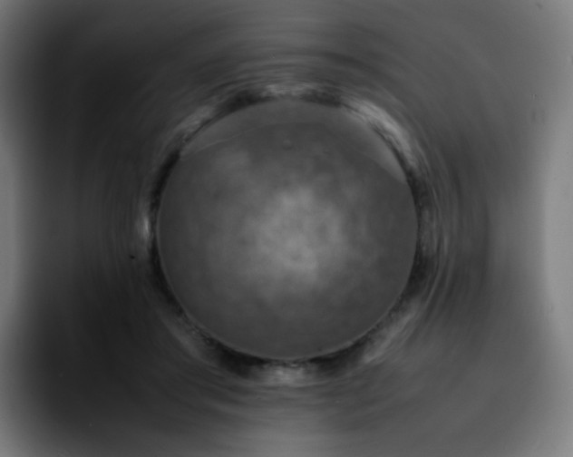 X0000092220405200709211011