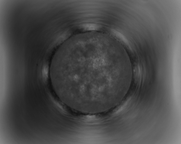 X0000092220406200709211011