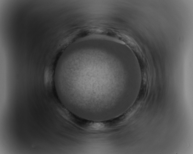 X0000092220409200709211011
