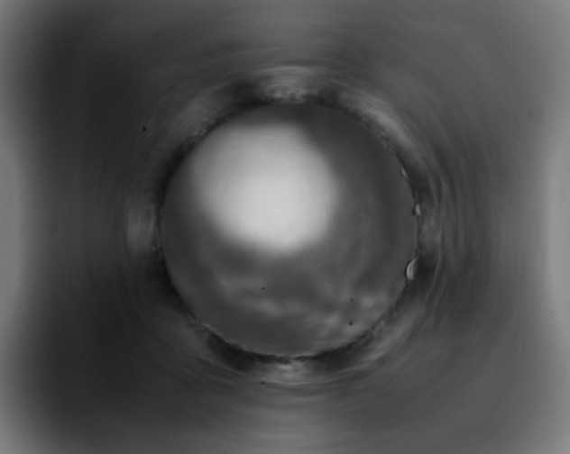 X0000092220411200709211011