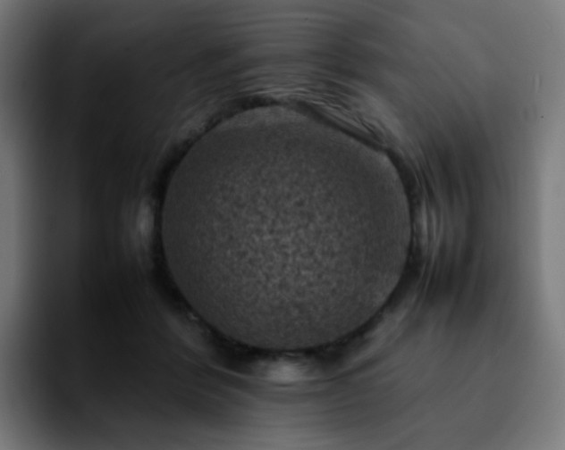 X0000092220412200709211011