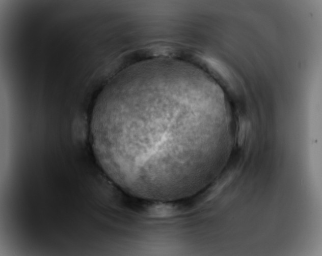 X0000092220413200709211011