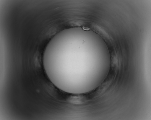 X0000092220414200709211011