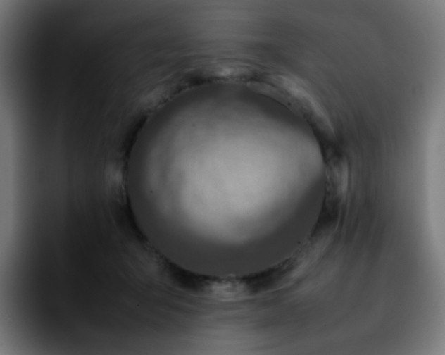 X0000092220415200709211011