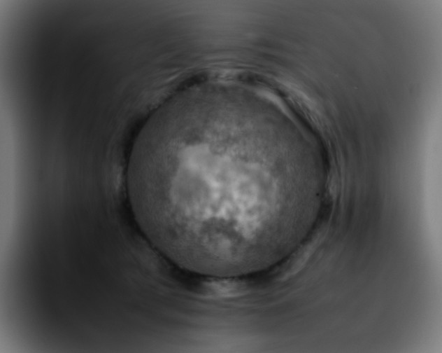 X0000092220417200709211011