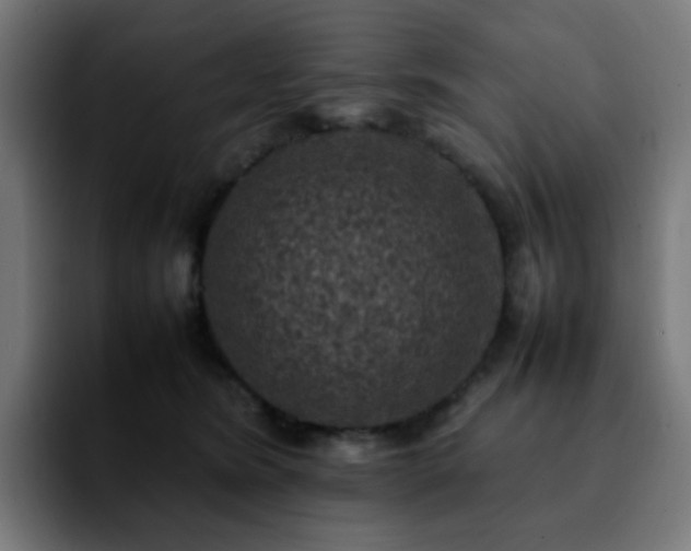 X0000092220420200709211011