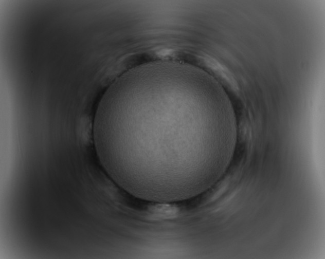 X0000092220421200709211011