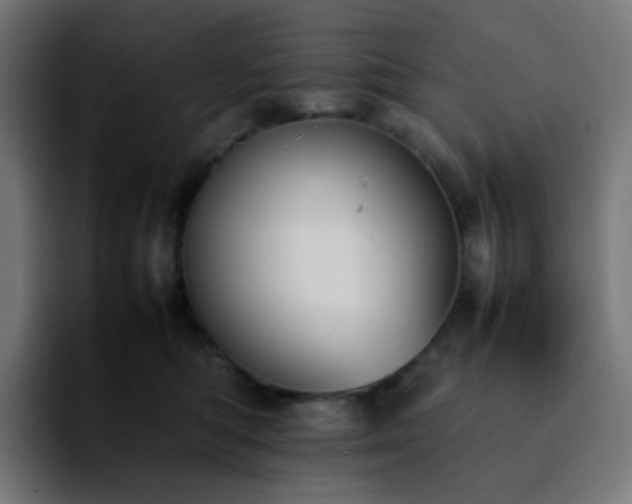 X0000092220422200709211011