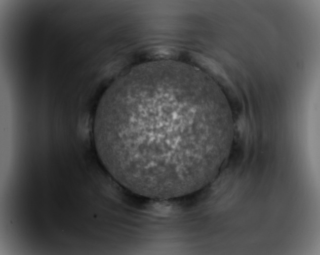 X0000092220423200709211011