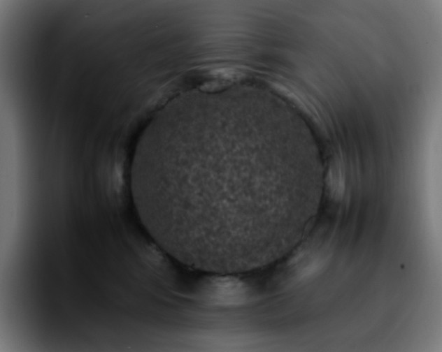 X0000092220424200709211011