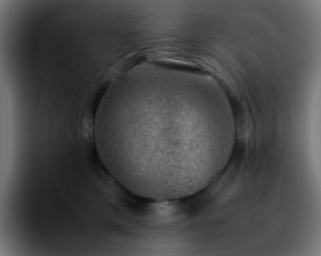 X0000092220425200709211011