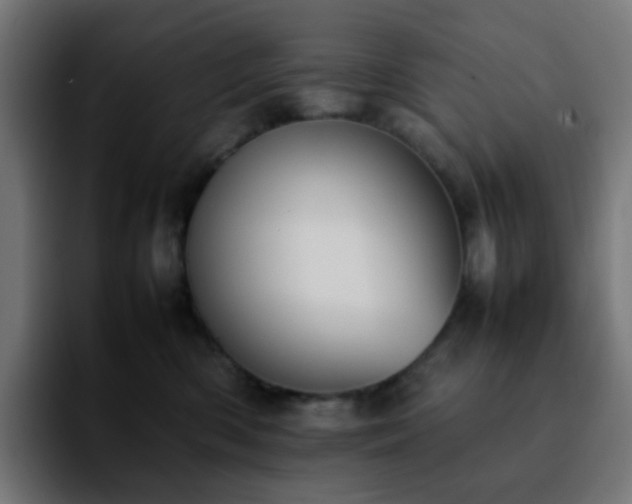 X0000092220426200709211011
