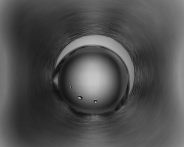X0000092220428200709211011