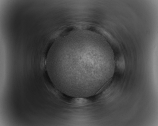 X0000092220429200709211011
