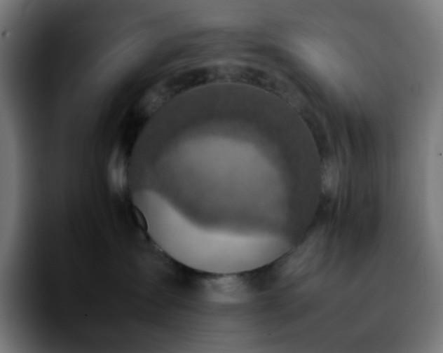 X0000092220431200709211011