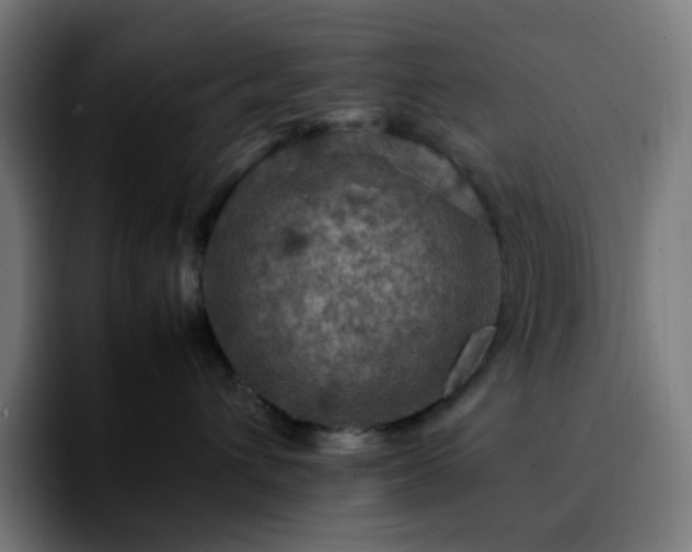 X0000092220432200709211011
