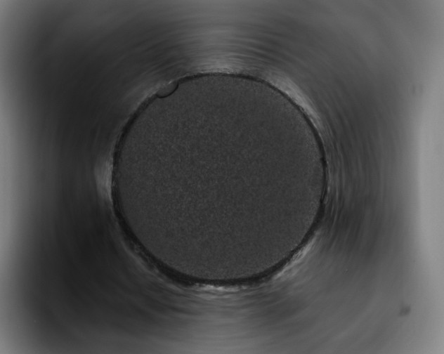 X0000092220434200709211010