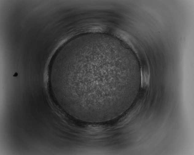 X0000092220435200709211010
