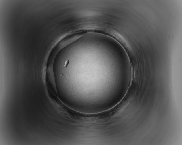 X0000092220436200709211010