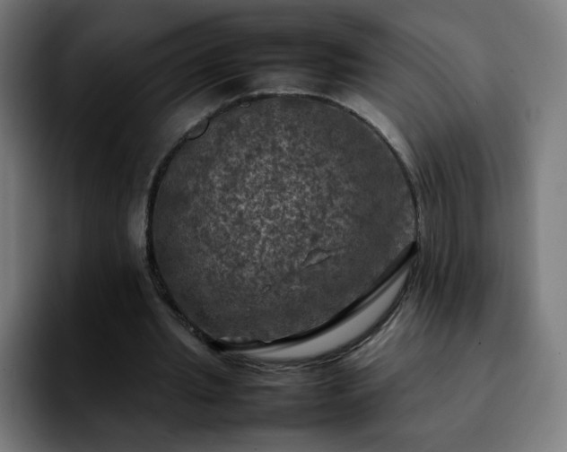 X0000092220437200709211010