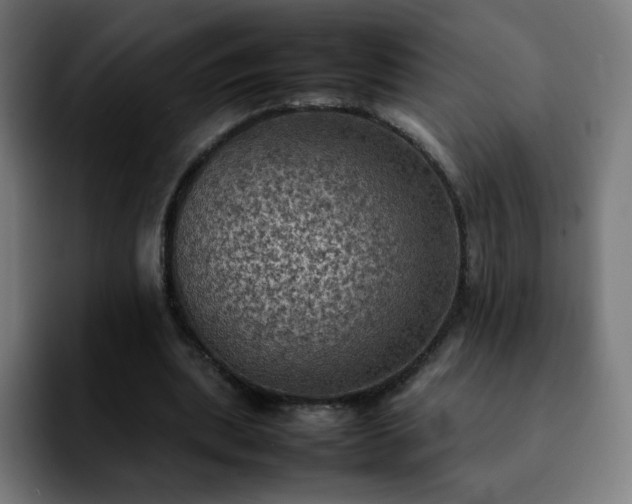 X0000092220439200709211010