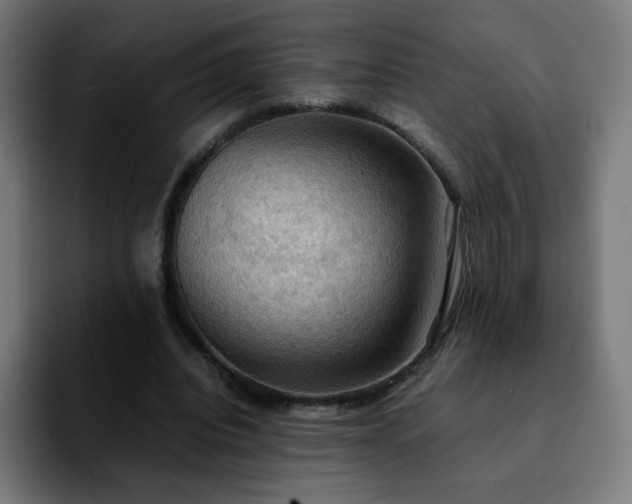X0000092220440200709211010
