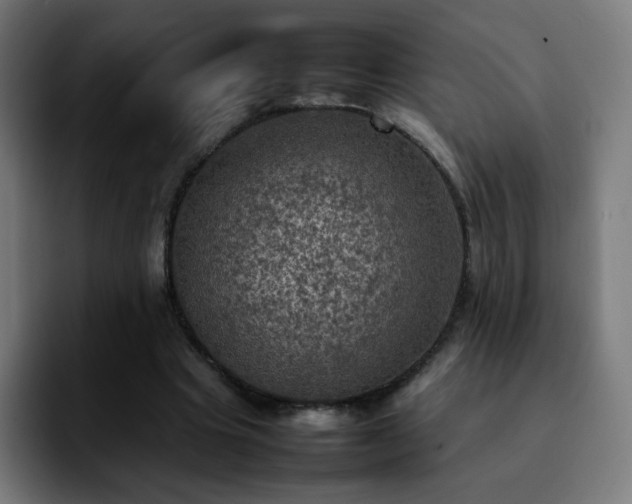 X0000092220441200709211010